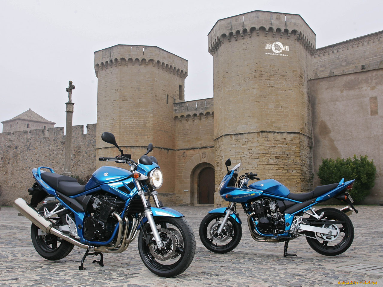, suzuki